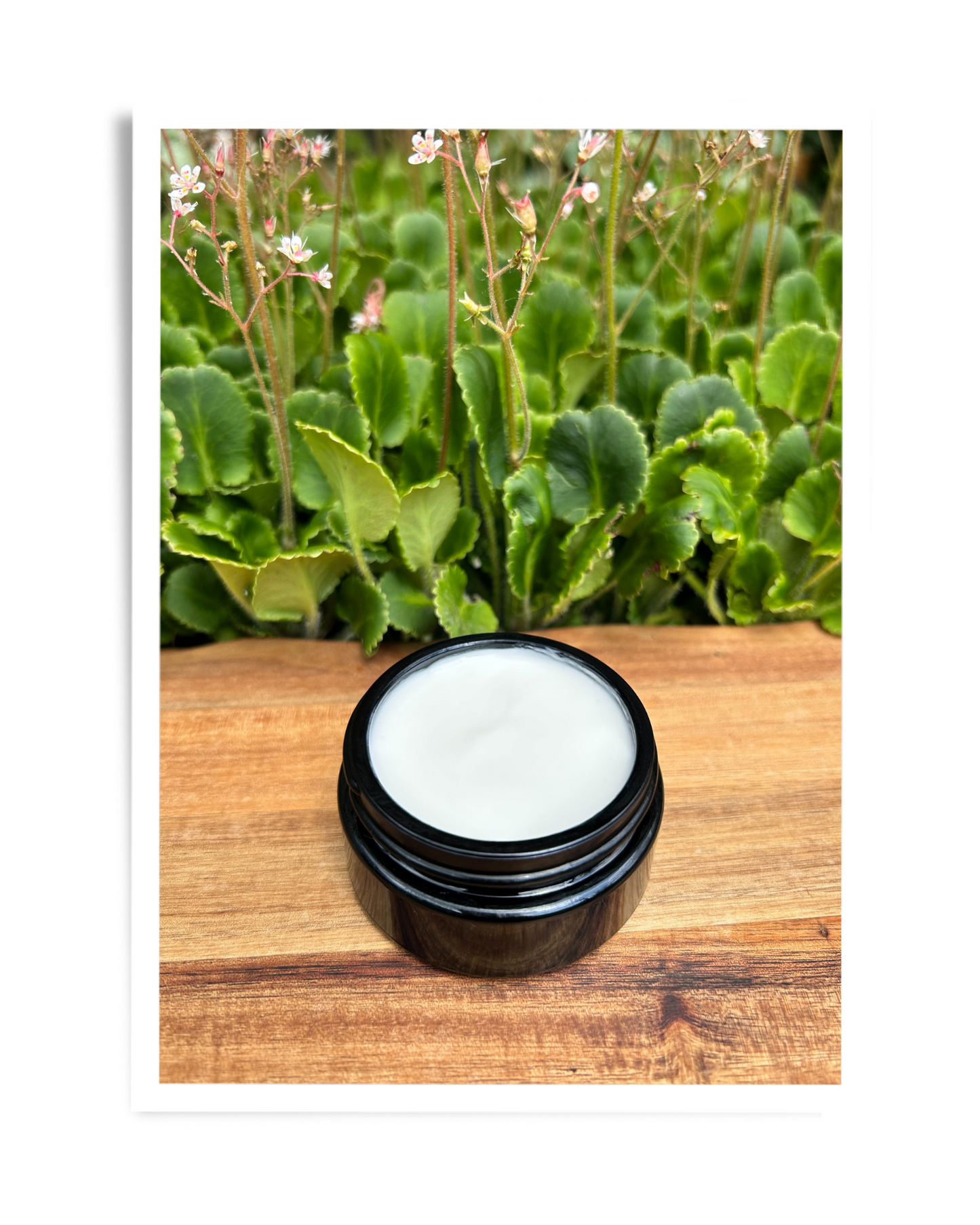 Rejuvenate Me Daily Moisturiser Mini