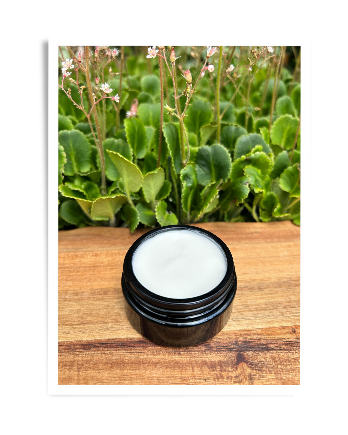 Rejuvenate Me Daily Moisturiser