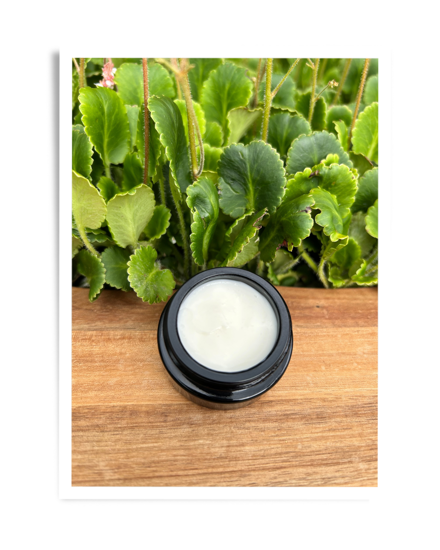 Rejuvenate Me Night Cream Mini